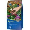 Kiepenkerl Blumen-Wiese 1 Kg -Einhell Garten Geschaft 101220 4161 1