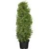 OBI Lebensbaum "Brabant" Höhe Ca. 120 - 140 Cm Topf Ca. 10 L Thuja -Einhell Garten Geschaft 140 cm Topf ca 10 l Thuja