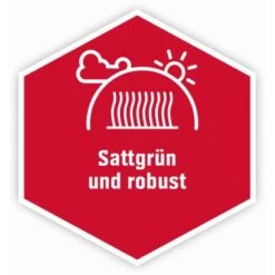 OBI 2 In 1 Vertikutier- Und Nachsaatmix 4 Kg -Einhell Garten Geschaft 241074 7