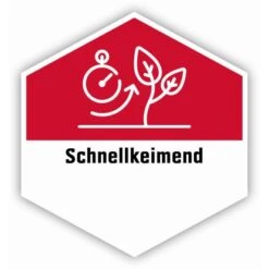 OBI 2 In 1 Vertikutier- Und Nachsaatmix 4 Kg -Einhell Garten Geschaft 241074 8