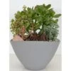 Bepflanzte Schale Mit Sukkulenten Topf-Ø Ca. 25 Cm -Einhell Garten Geschaft 358576 U 3358 1