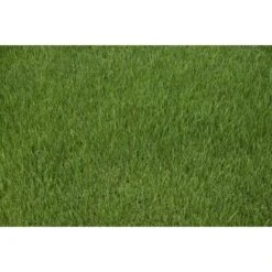 Kiepenkerl Saatgut RSM 3.2 Sportrasen - Regeneration 10 Kg Für 350 M² -Einhell Garten Geschaft 4000159623583 4161 4