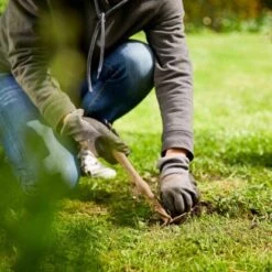 Compo Saat Rasen-Nachsaat 440 G 7 Compo Saat Rasen-Nachsaat 440 G -Einhell Garten Geschaft 4008398338831 COMPO 005