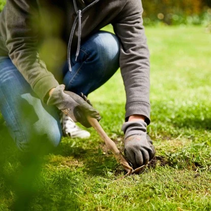 Compo Saat Rasen-Nachsaat 440 G 5 Compo Saat Rasen-Nachsaat 440 G – Bild 3