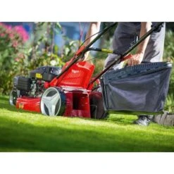 Trike-Rasenmäher B 51/TMA 60 L Fangkorb 2.900 W -Einhell Garten Geschaft 4048122036251 A06 071118