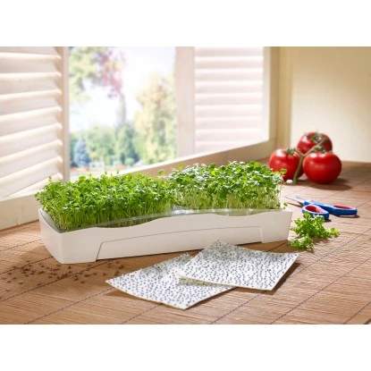 Sperli Grünsprossen-Duo-Anzuchtschale 4 Sperli Grünsprossen-Duo-Anzuchtschale – Bild 2