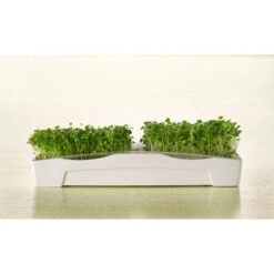 Sperli Grünsprossen-Duo-Anzuchtschale 12 Sperli Grünsprossen-Duo-Anzuchtschale -Einhell Garten Geschaft 423874 4161 85014 3