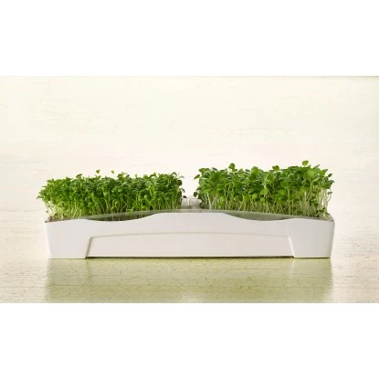 Sperli Grünsprossen-Duo-Anzuchtschale 5 Sperli Grünsprossen-Duo-Anzuchtschale – Bild 3