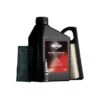Wartungskit Briggs & Stratton -Einhell Garten Geschaft 5515580 1159 1