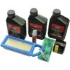 Wartungs-Kit Briggs & Stratton -Einhell Garten Geschaft 551565 1159 1