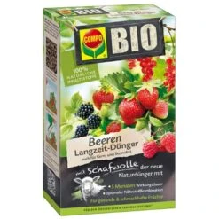 Compo Bio Beeren Langzeitdünger Mit Schafwolle 2 Kg