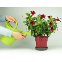 Nutri One Universal-Dünger 1 L Flüssigkonzentrat -Einhell Garten Geschaft 777015 4652 7