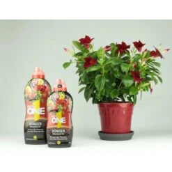 Nutri One Universal-Dünger 1 L Flüssigkonzentrat -Einhell Garten Geschaft 777015 4652 8