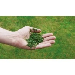 Einhell Benzin-Rasenmäher GC-PM 52/2 S HW -Einhell Garten Geschaft 807319 2171 340485 2171 08