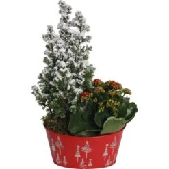 Weihnachtsarrangement Im Zink-Gefäß Topf-Ø Ca. 19 Cm