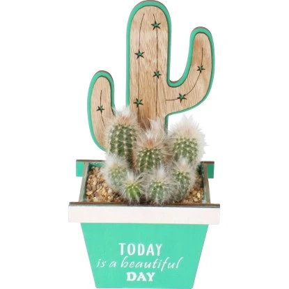 Kaktus-Arrangement Im Holz-Gefäß Topf-Ø Ca. 12 Cm 3 Kaktus-Arrangement Im Holz-Gefäß Topf-Ø Ca. 12 Cm
