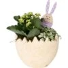 Oster-Arrangement Im Beton-Ei Topf-Ø Ca. 20 Cm 1 Oster-Arrangement Im Beton-Ei Topf-Ø Ca. 20 Cm -Einhell Garten Geschaft 8719194146570 4883
