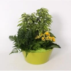 Arrangement Blüh- Und Grünpflanzen Im Farbigen Keramik-Gefäß Topf-Ø Ca. 22 Cm -Einhell Garten Geschaft 8719194194267 4883 3