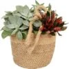 Grünpflanzen-Arrangement Im Jute-Gefäß Topf-Ø Ca. 18 Cm -Einhell Garten Geschaft 8719194198524 4883