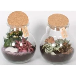 Pflanzen-Arrangement Im Korken-Glas Topf-Ø Ca. 18 Cm 7 Pflanzen-Arrangement Im Korken-Glas Topf-Ø Ca. 18 Cm -Einhell Garten Geschaft 8719194200180 4883 3