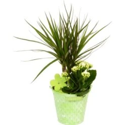 Arrangment In Zinkeimer Verschiedene Farben Topf-Ø Ca. 13 Cm