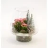 Winterliches Pflanzen-Arrangement Im Glas-Gefäß Topf-Ø Ca. 16 Cm -Einhell Garten Geschaft 8719194231160 4883