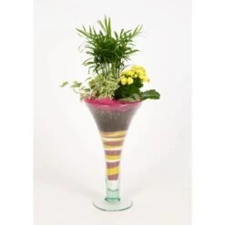 Pflanzen-Arragement In Trompetenvase Topf-Ø Ca. 16 Cm