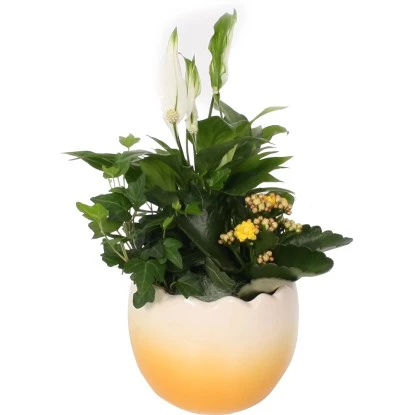 Osterarrangement Im Ei-Gefäß Topf-Ø Ca. 15 Cm 3 Osterarrangement Im Ei-Gefäß Topf-Ø Ca. 15 Cm