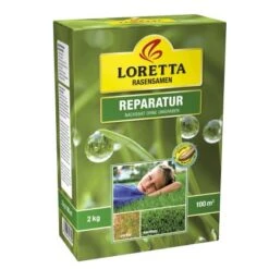 Loretta Reparatur Rasen Mit Mantel WASP 2 Kg