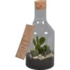 Green Bottle® Glasflasche Mit Kakteen-Mix Topf-Ø Ca. 15 Cm 1 Green Bottle® Glasflasche Mit Kakteen-Mix Topf-Ø Ca. 15 Cm -Einhell Garten Geschaft t kakteenmix topf ca 15 cm